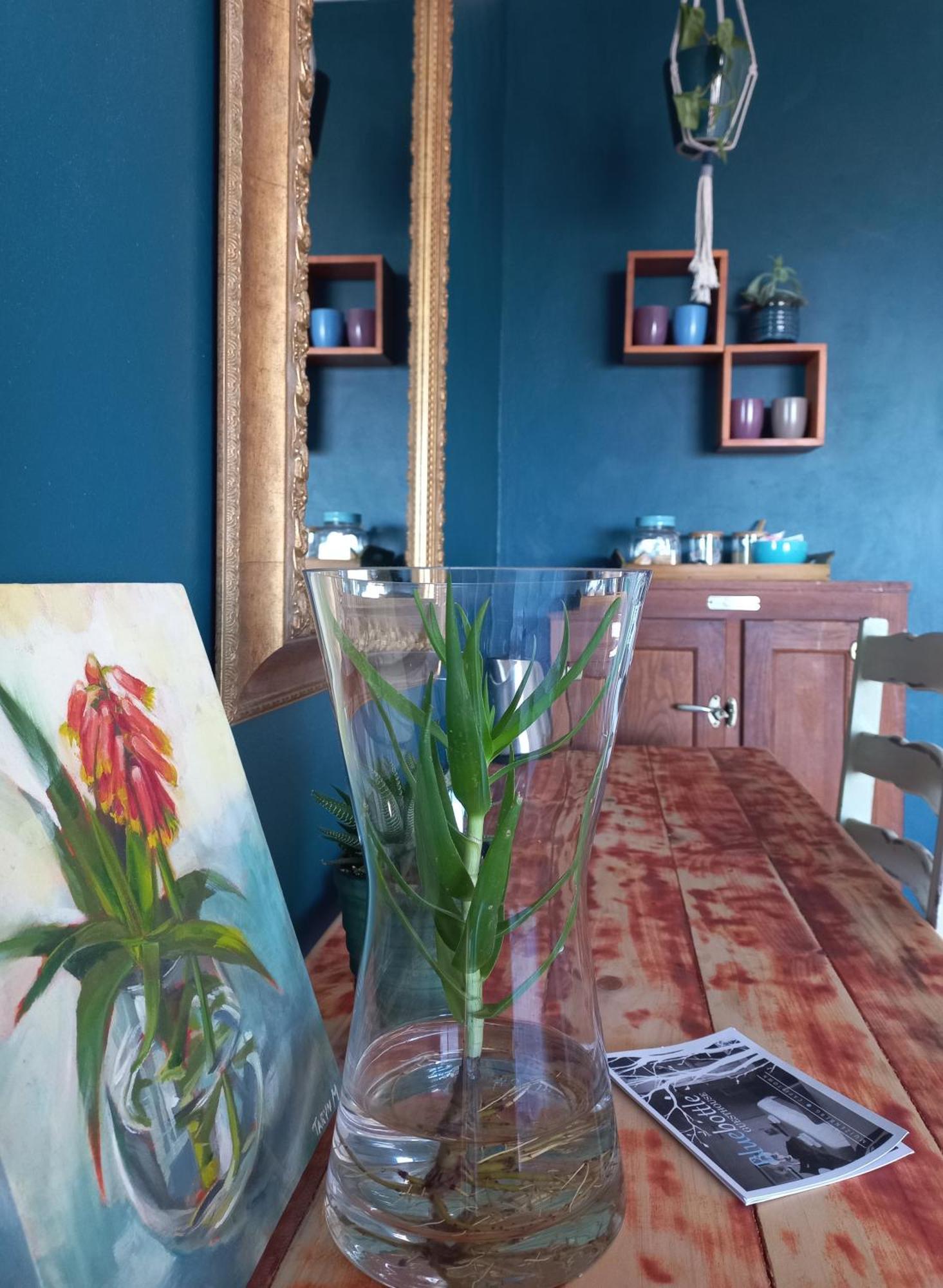 Bluebottle Guesthouse Мізенберґ Екстер'єр фото