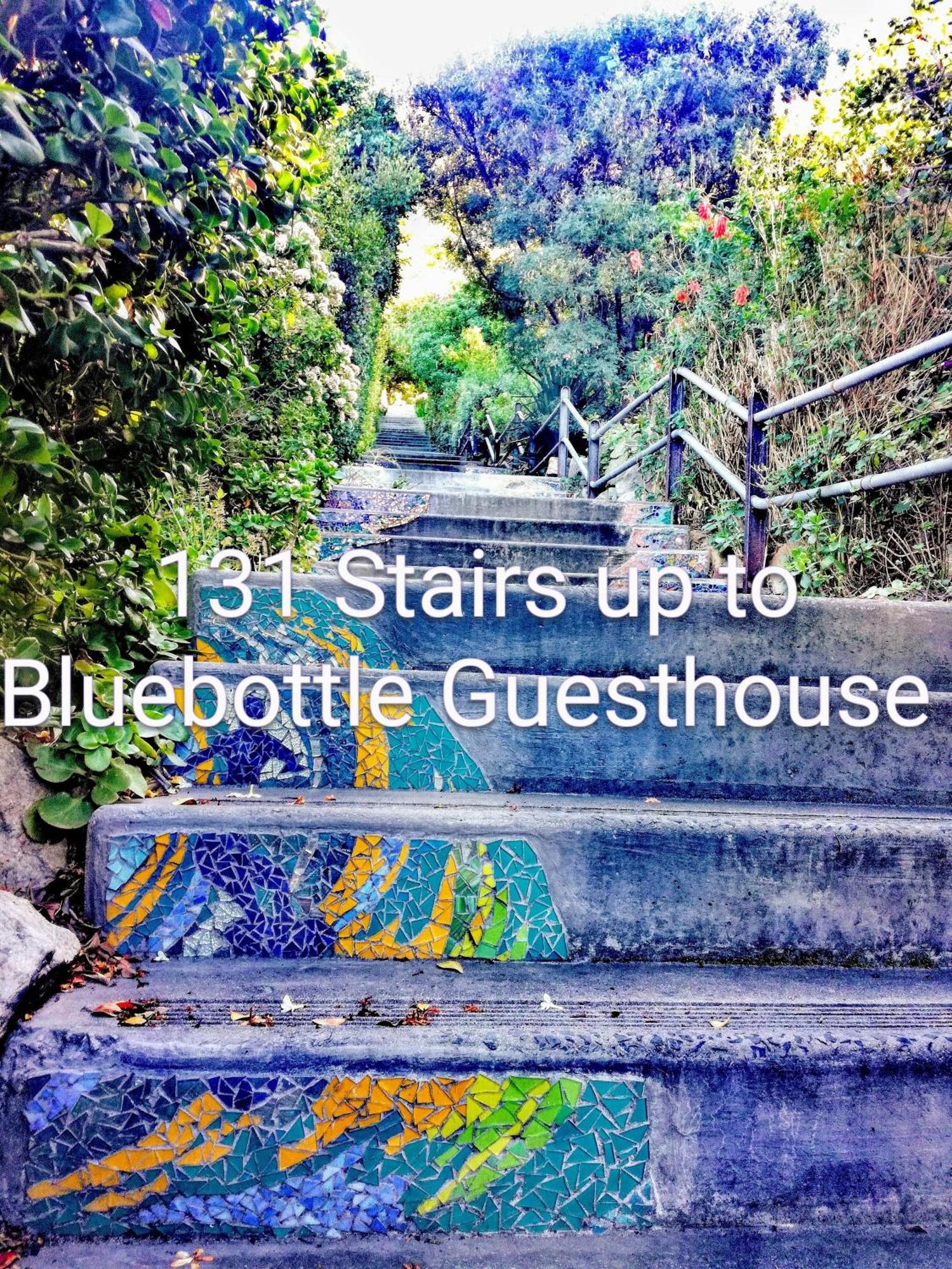 Bluebottle Guesthouse Мізенберґ Екстер'єр фото